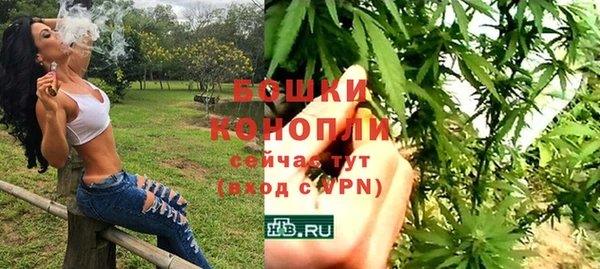 гашик Покровск