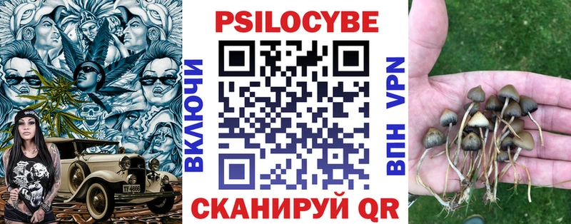 мега зеркало  цена наркотик  Светлый  Галлюциногенные грибы Magic Shrooms 